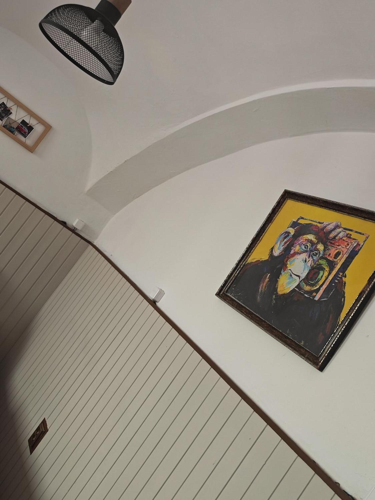 Vintage Room With Garden View Bratislava Ngoại thất bức ảnh