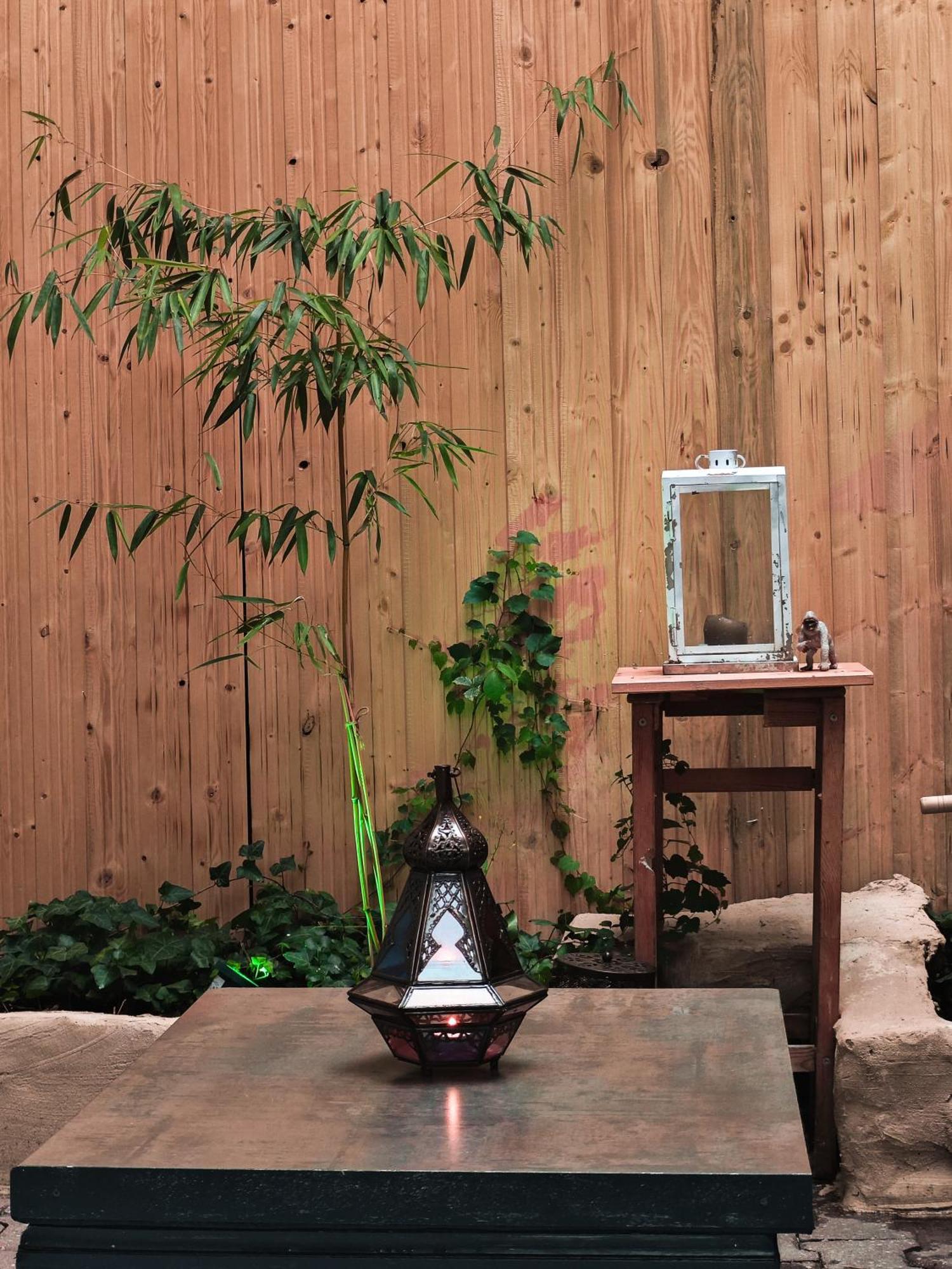 Vintage Room With Garden View Bratislava Ngoại thất bức ảnh