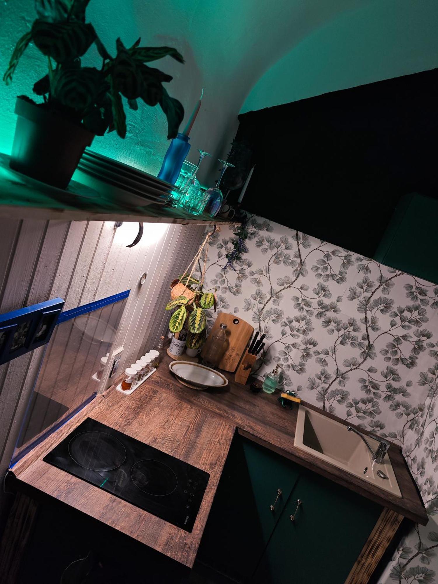 Vintage Room With Garden View Bratislava Ngoại thất bức ảnh