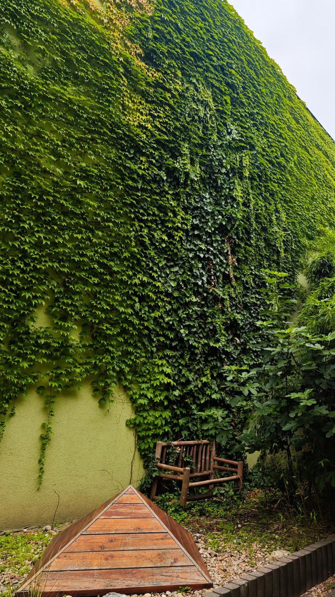Vintage Room With Garden View Bratislava Ngoại thất bức ảnh