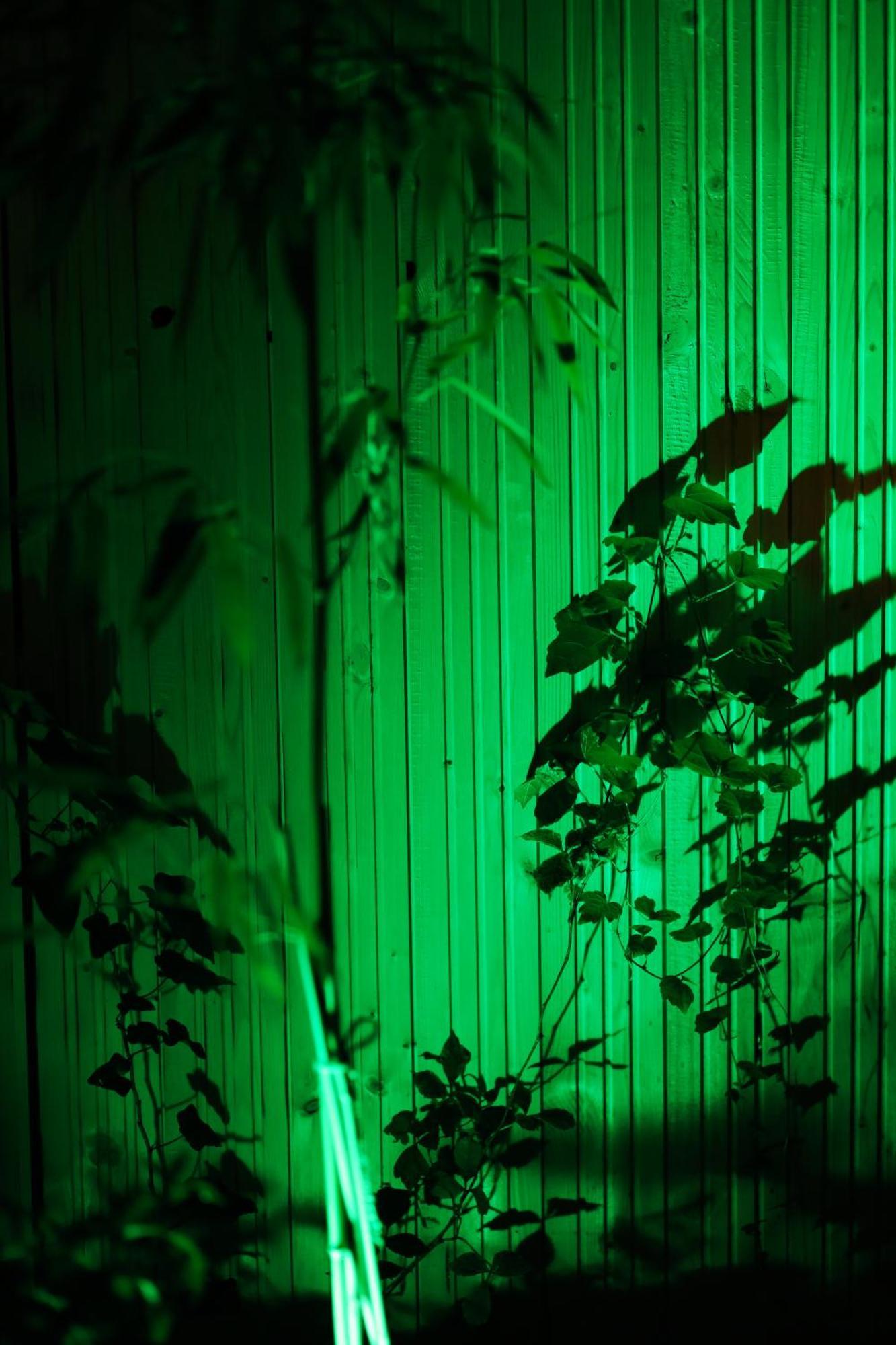 Vintage Room With Garden View Bratislava Ngoại thất bức ảnh